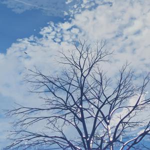 爽⋯好大⋯快⋯深点原耽
